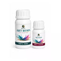 2:1 (300gm) Egypt Chemico Crystal Clear Resin 2:1 Ratio Resin